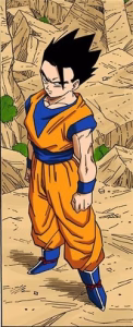Son Gohan