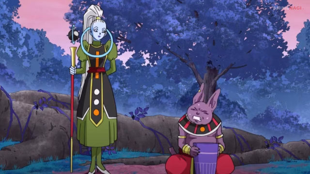 Dragon Ball Super's Universe 6 Explained: Champa, Vados, and the Saiyans of Universe 6